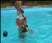 img033